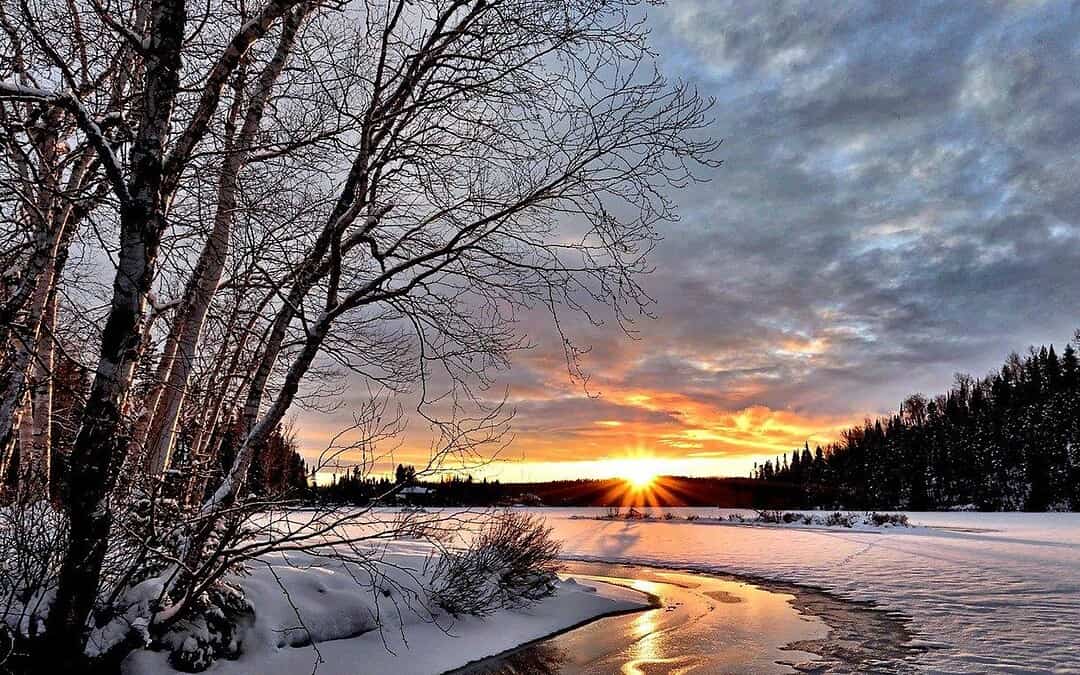 Seminarios de Invierno 2020/2021