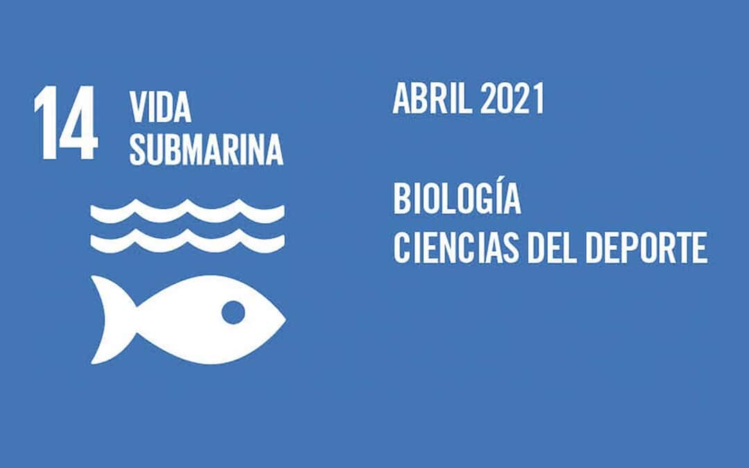 Aspectos legales relativos a la gobernanza de las áreas marinas protegidas