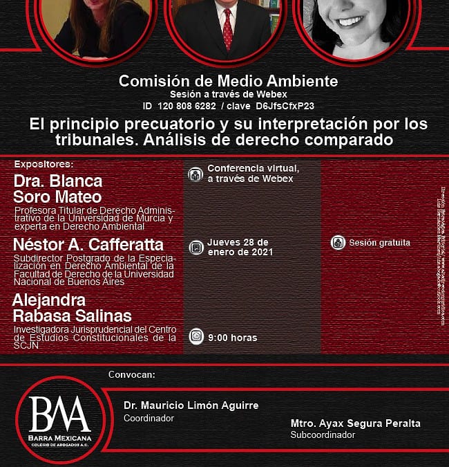 Comisión de medio ambiente