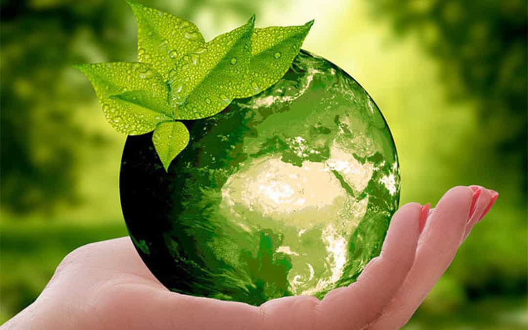 Jornada sobre la estrategia de biodiversidad de la Unión Europea 2030