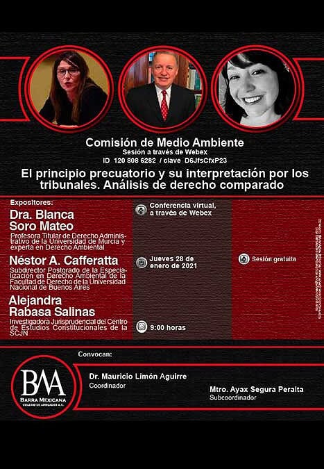 El principio precuatorio y su interpretación por los tribunales. Análisis de derecho comparado