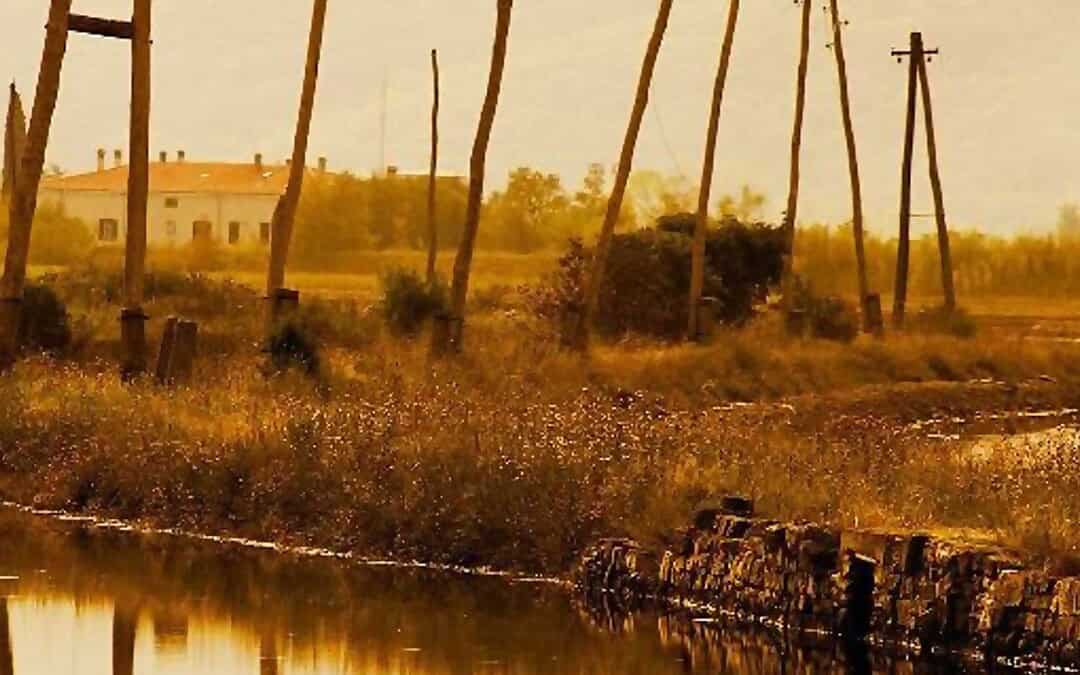 Ciclo de seminarios internacionales, Derecho Financiero y tributario