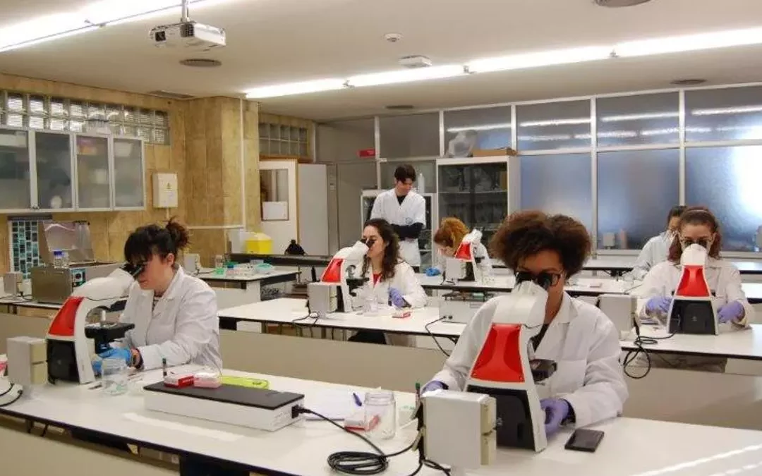 La UMU refuerza su actividad investigadora con la creación de un instituto de Bioderecho